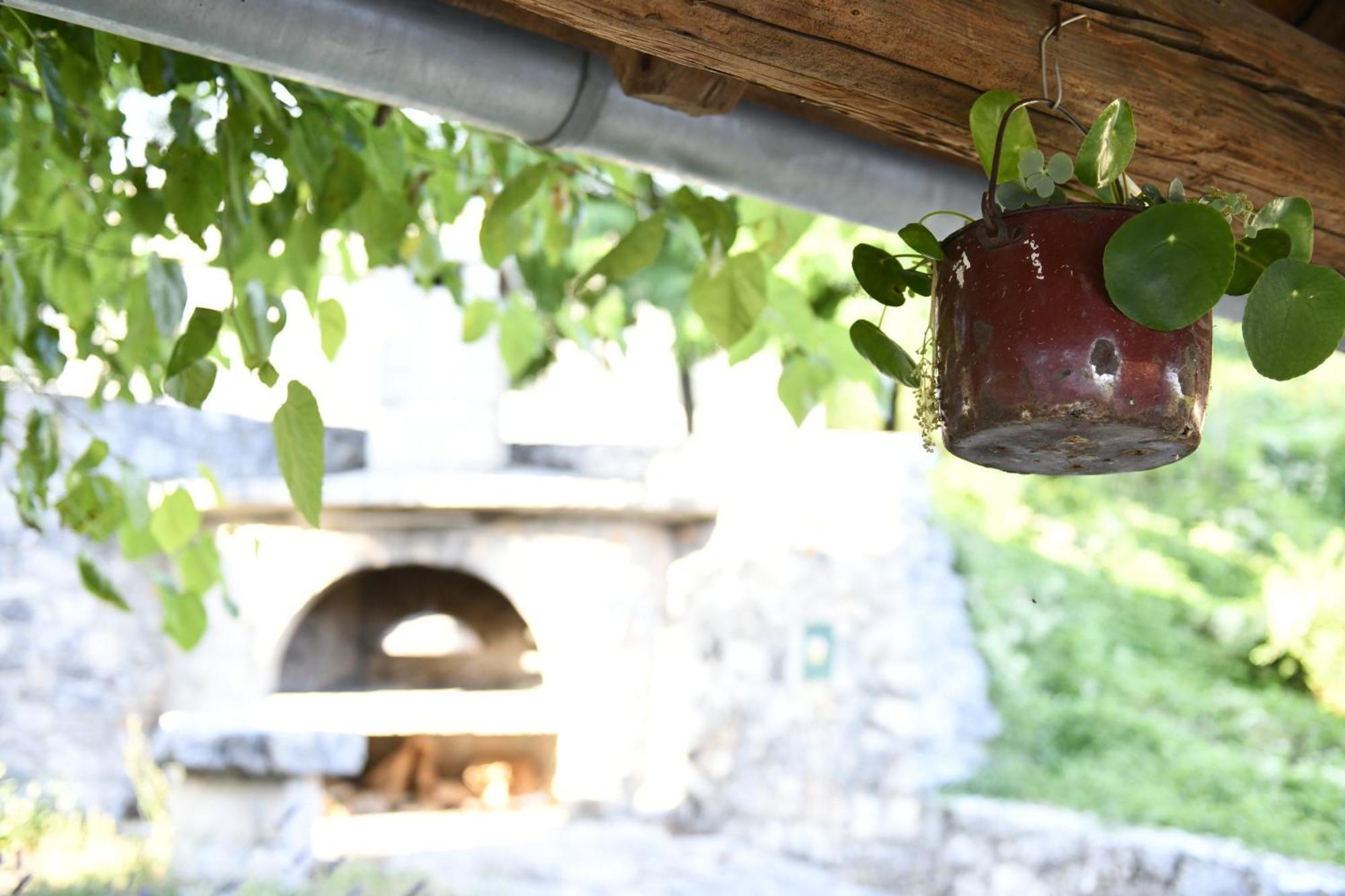 Great Place For Relaxation Apartment Gornji Prolozac